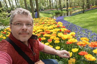 Amsterdam Tulip Festival.
