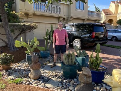 My Cacti Garden.