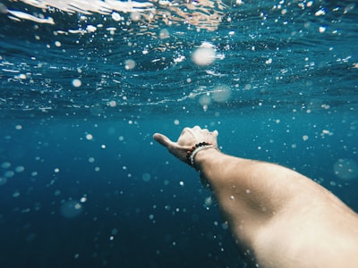Shaka underwater