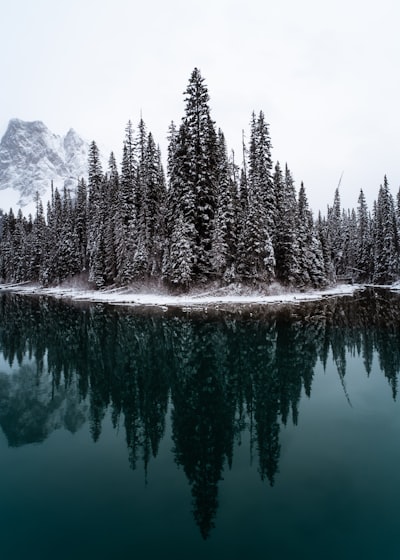 A lake with trees and mountains in the background