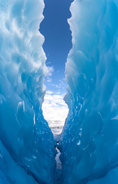 Icebergs in the water
