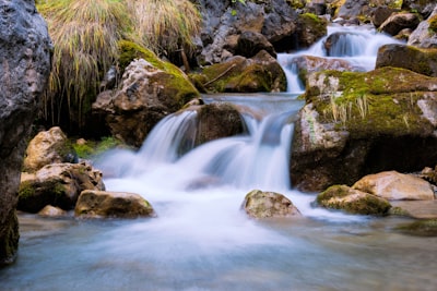 Early autumn morning, wondering in the woods not far from where I leave. give it enough time and magic always happens…