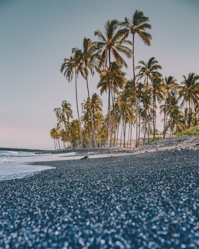 Have you ever seen a black sand beach?