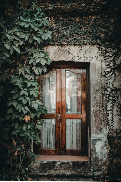 Brown window near plant on wall