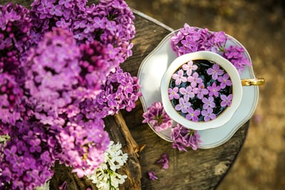 Pink flowers on white ceramic bowl