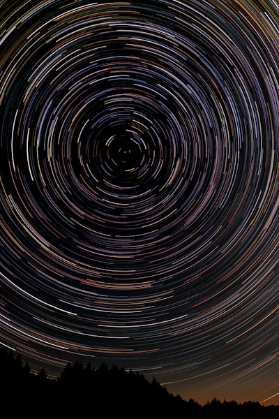 Long exposure star trails centered on North Star with trees silhouetted in foreground. 