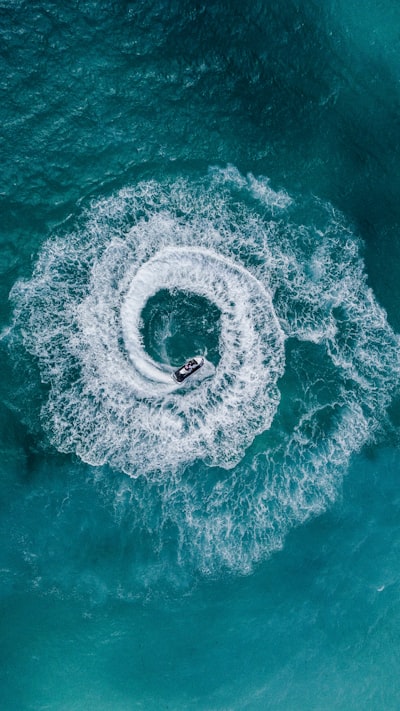 Sea Rider 💙