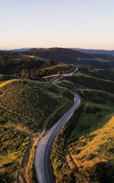 Aerial view of green trees and road during daytime