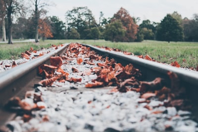 VIEW by Siora… Like our work? Visit our profile to find lots more photos that you are sure to love.... https://unsplash.com/@siora18 ...... Thank You Xx