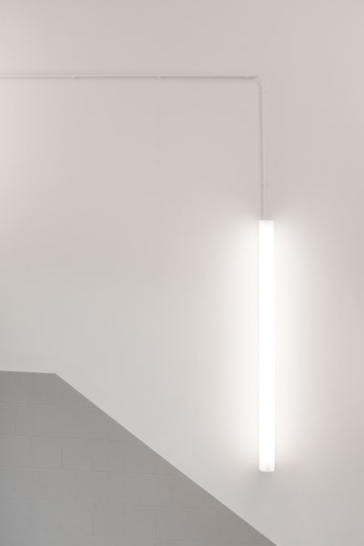 White fluorescent