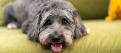 Max (13/21)