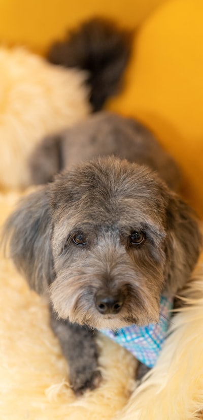 Max (4/21)