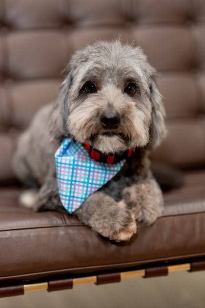 Max (9/21)