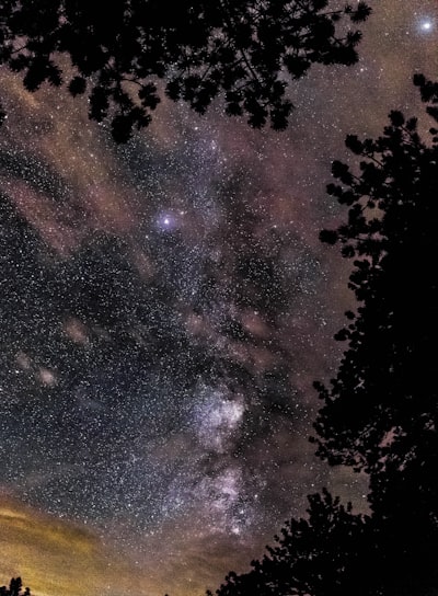 Milky Way Rocky Mountain