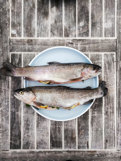 Two silver fishes on round white ceramic plate