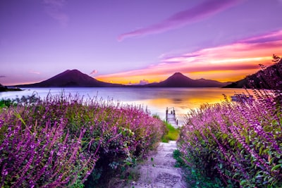 I had been travelling around Central America, living in a van and sharing experiences with other travelers.  Having just dropped my last travel buddy off I headed back to Lake Atitlan and found an incredible spot to camp right next to the lake.  There was this jetty sticking out into the lake where I sat watching the sunset, once again living the dream on my own. I knew something special was happening there, and now it has become BitcoinLake!