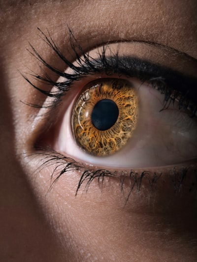 Persons brown eyes with brown eyes