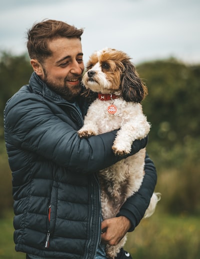 Man’s best friend 